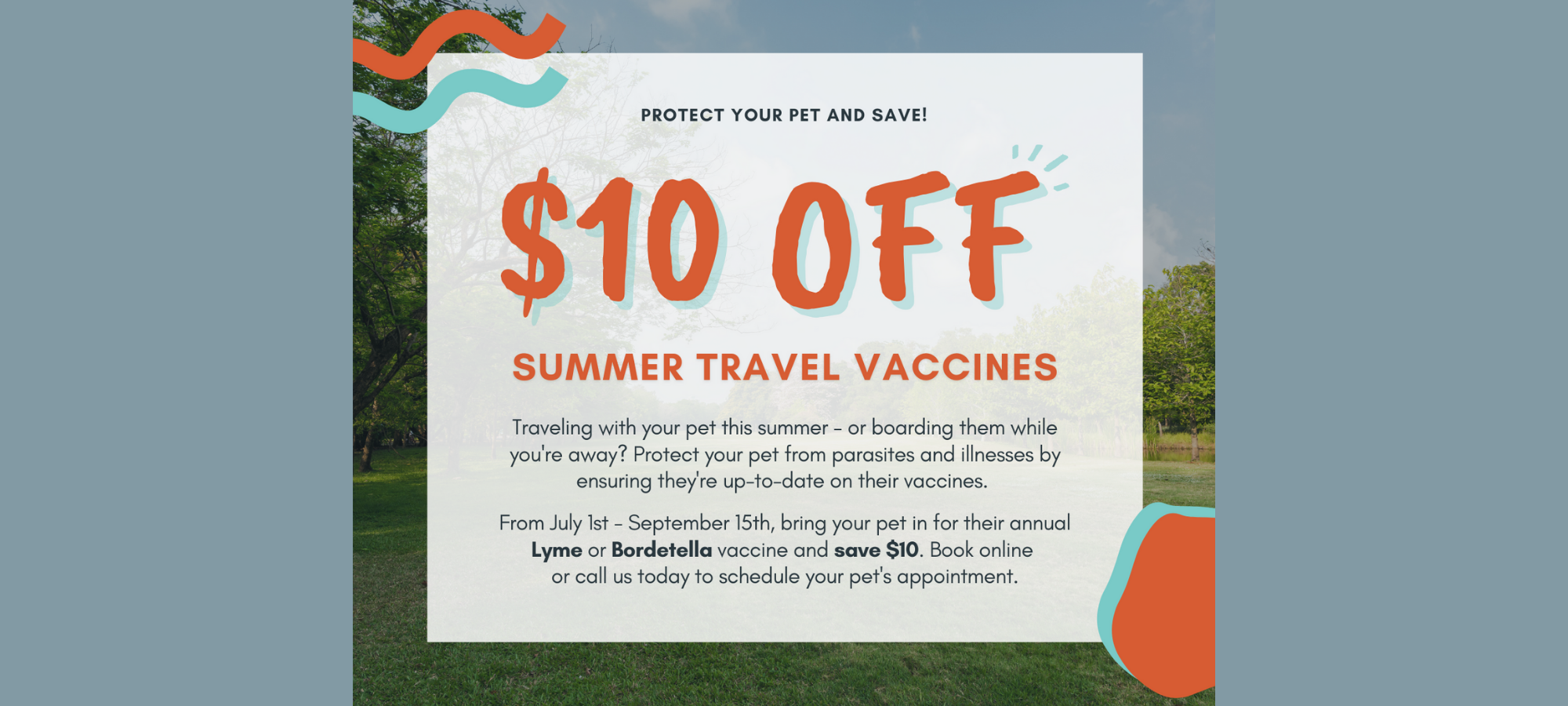 Travel Vaccine Promo